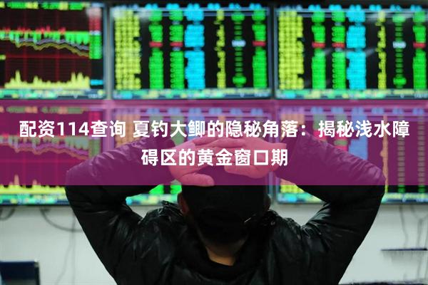 配资114查询 夏钓大鲫的隐秘角落：揭秘浅水障碍区的黄金窗口期